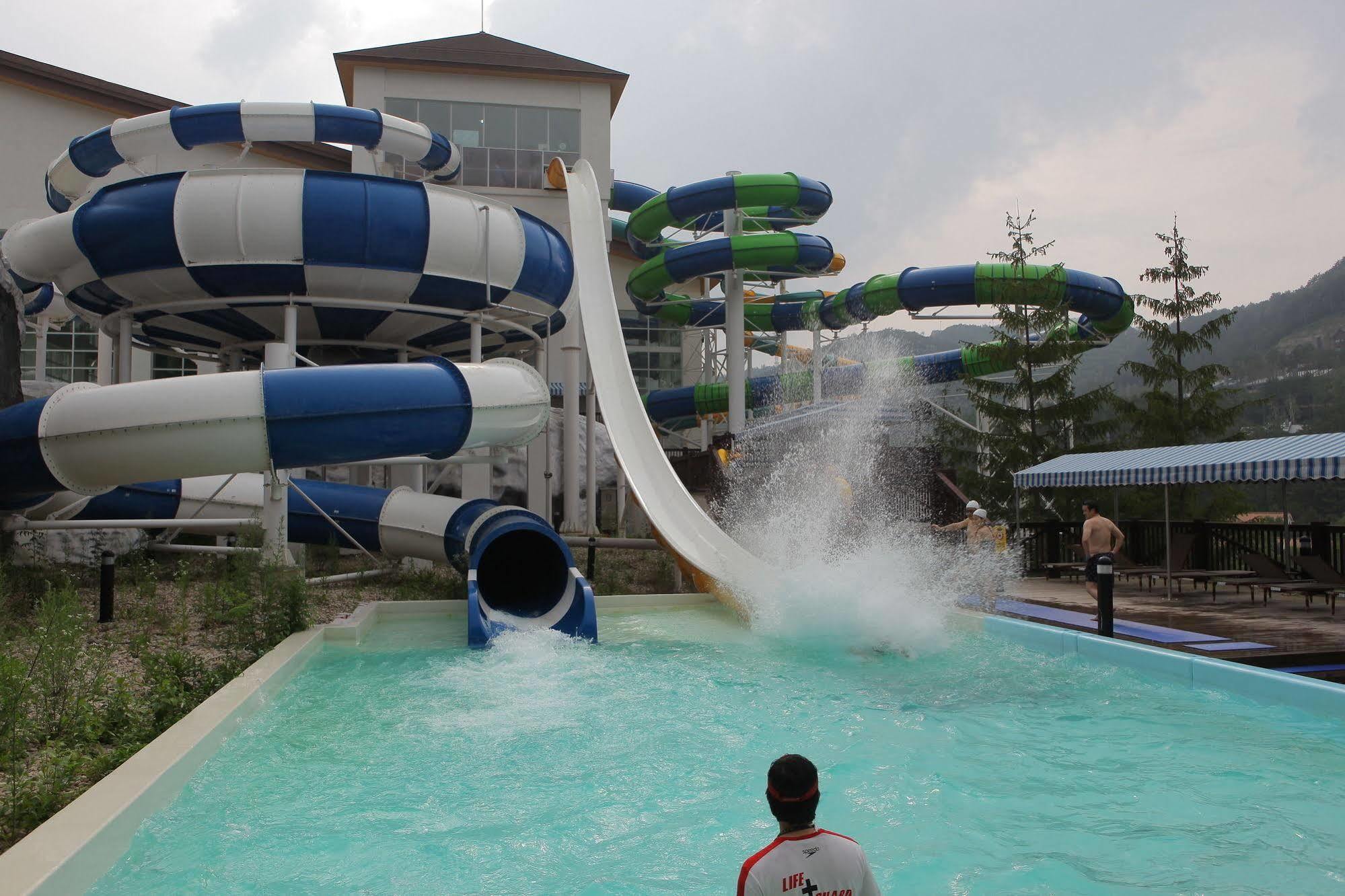 Yongpyong Resort Villa Condominium Pyeongchang Luaran gambar