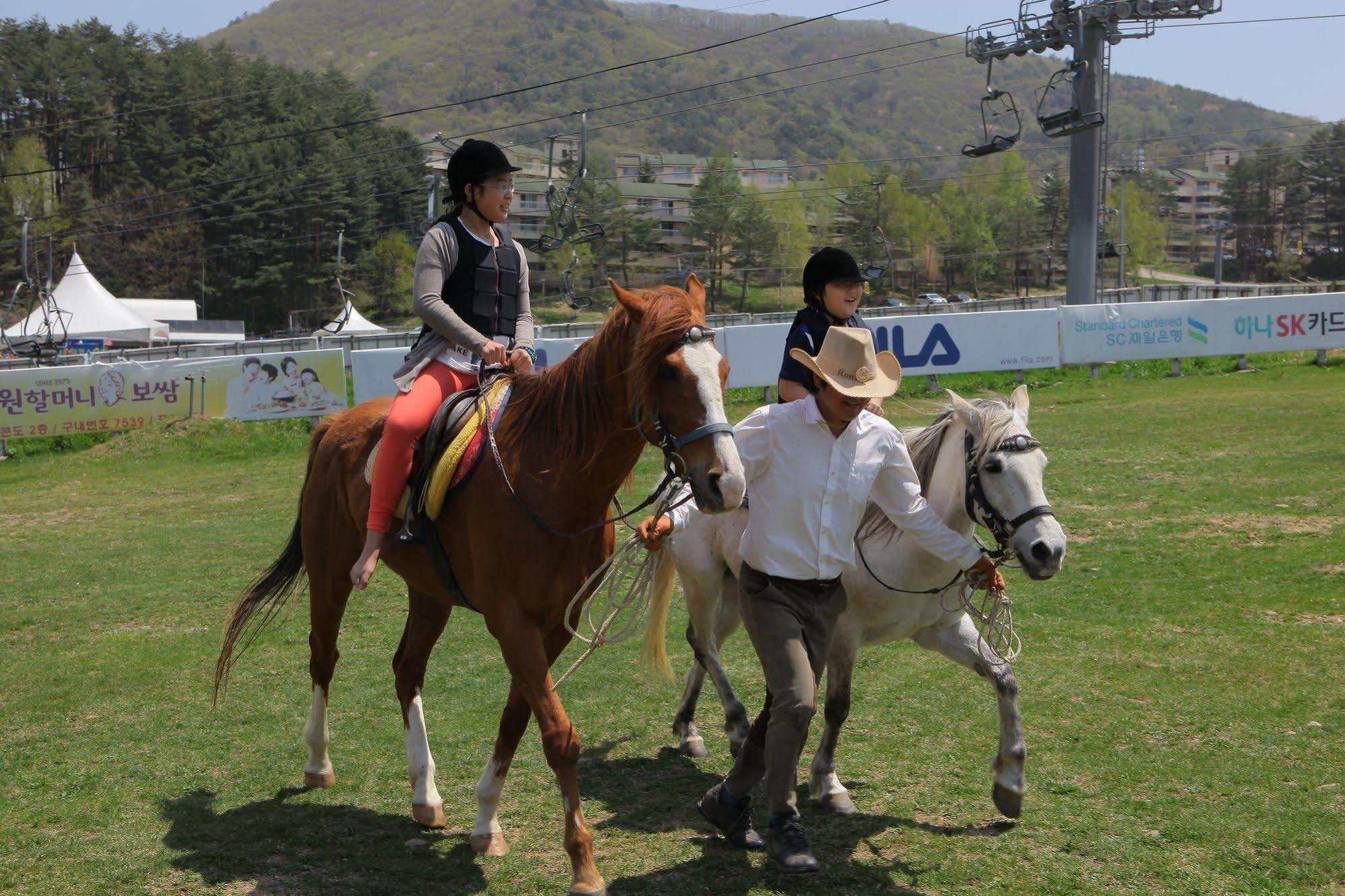 Yongpyong Resort Villa Condominium Pyeongchang Luaran gambar